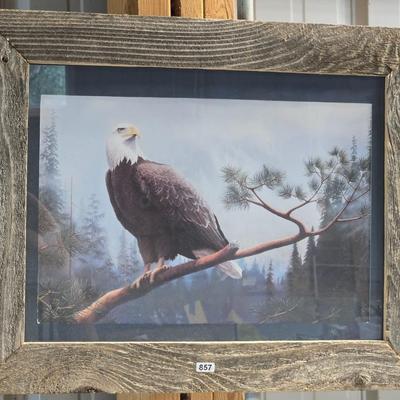 Eagle Framed Print Art