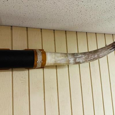 Mounted Steer Long Horns