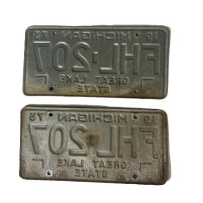 Matched Pair of 1973 Michigan License Plates