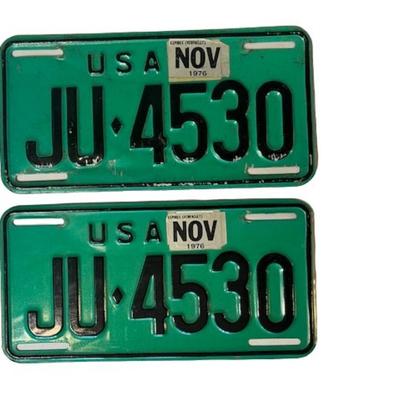 Matched Pair of 1976 USA License Plates