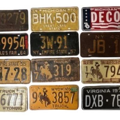 Vintage License Plate Assortment