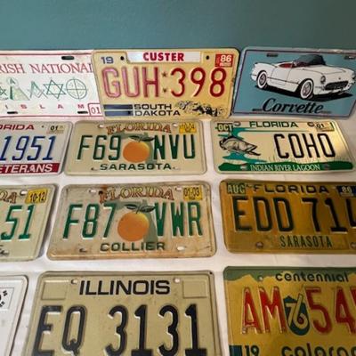 Vintage License Plate Assortment