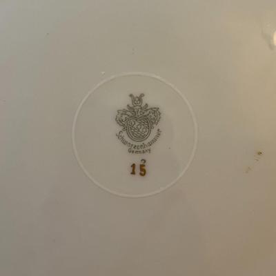 Schwarzenhammer Vintage Bavarian Porcelain 10" Plates Lot