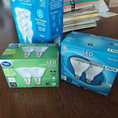 Miscellaneous Light Bulbs (G-BBL)