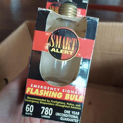 Miscellaneous Light Bulbs (G-BBL)
