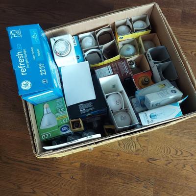 Miscellaneous Light Bulbs (G-BBL)