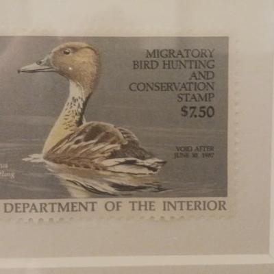 Federal Duck Stamp Print 1986 Burton Moore " Fulvous Duck"