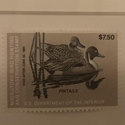 Federal Duck Stamp Print 1982 Phil Scholer "Pintails"