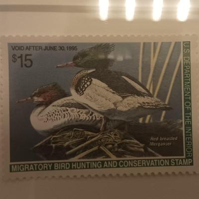 Federal Duck Stamp 1995 Neal Anderson "Red Breasted Merganser"
