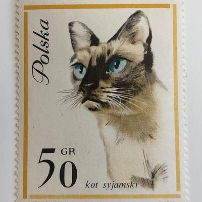 1964 Cat Stamp - Poland