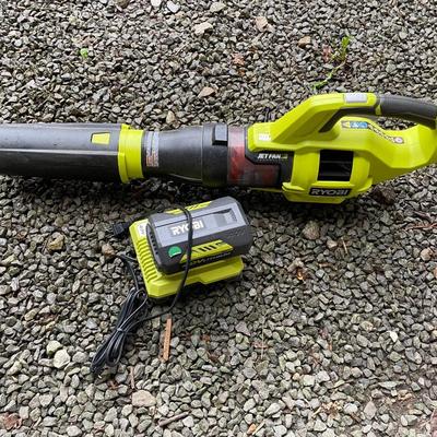RYobi blower and battery pack