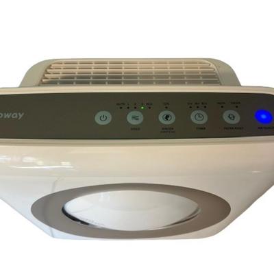 Coway Airmega Air Purifier