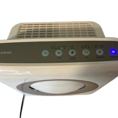 Coway Airmega Air Purifier