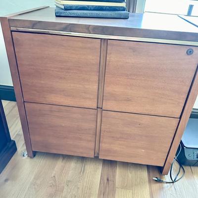 2 drawer file cabinet