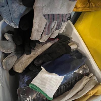 S42 miscellaneous items