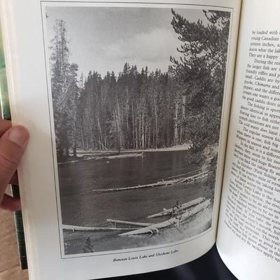 Trout Fiction and Travels (HC-KD)