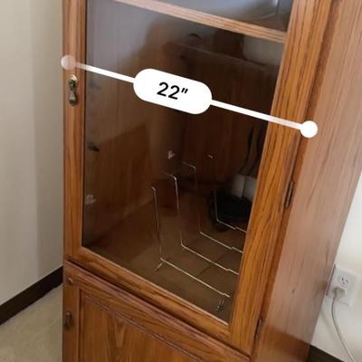 Large Lot of Vinyl Records 33's Over 50 included. Also, a Vinyl Storage Cabinet!