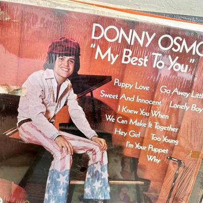 Large Lot of Vinyl Records 33's Over 50 included. Also, a Vinyl Storage Cabinet!