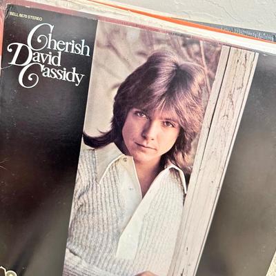 Large Lot of Vinyl Records 33's Over 50 included. Also, a Vinyl Storage Cabinet!