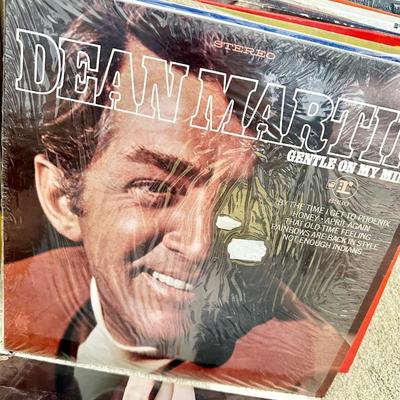 Large Lot of Vinyl Records 33's Over 50 included. Also, a Vinyl Storage Cabinet!