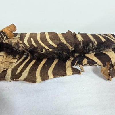 Animal Hide