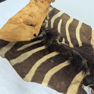 Animal Hide