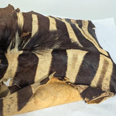 Animal Hide