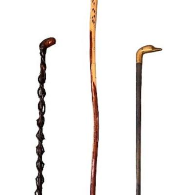 Walking Stick Assortment