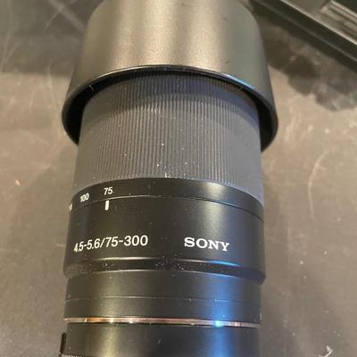 Sony cx200