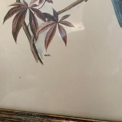 Two Signed Bird Lithographs