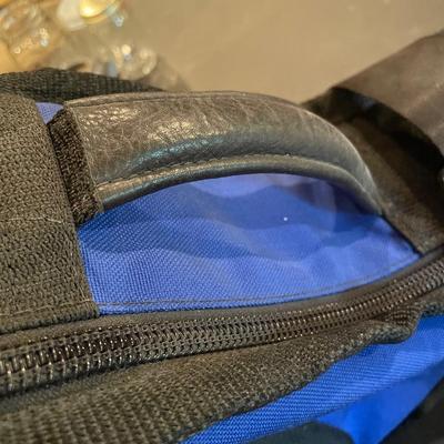 Banjo bag