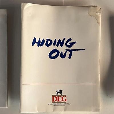 Hiding Out press kit