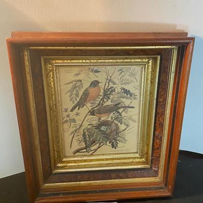 Vintage Bird Art