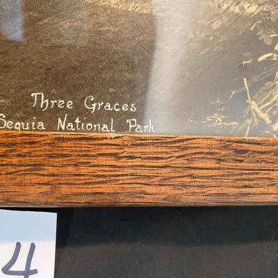 Vintage Three Grace Sequia National Park