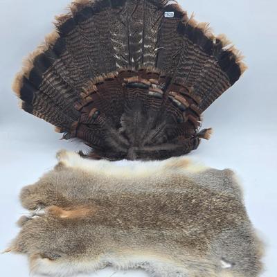 Pelt & Tail Lot