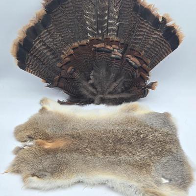 Pelt & Tail Lot