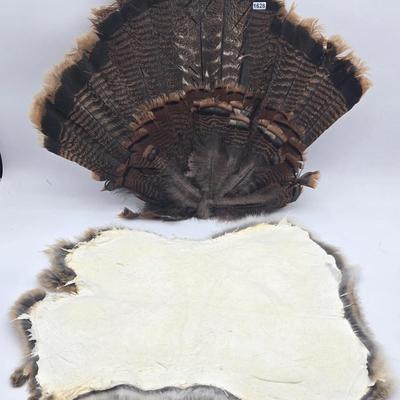 Pelt & Tail Lot