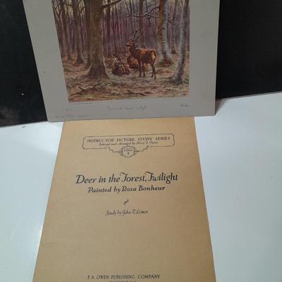 Deer in the forrest Twilight