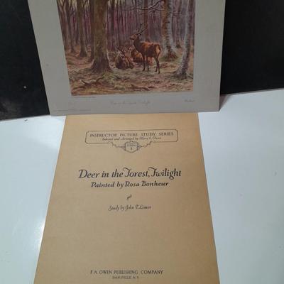 Deer in the forrest Twilight