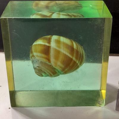 two paperweights North Sea oil field with oil and seashell