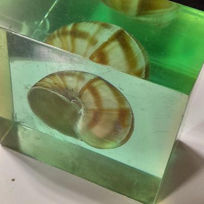 two paperweights North Sea oil field with oil and seashell