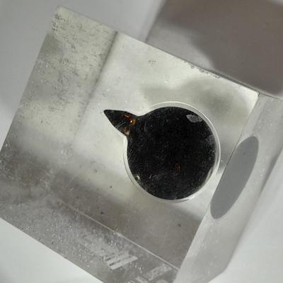 two paperweights North Sea oil field with oil and seashell