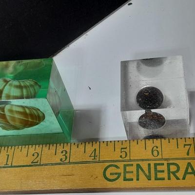 two paperweights North Sea oil field with oil and seashell