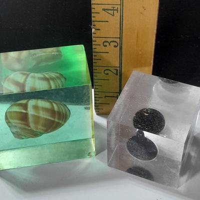 two paperweights North Sea oil field with oil and seashell