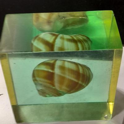 two paperweights North Sea oil field with oil and seashell