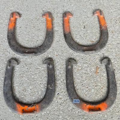 Horse Shoes
