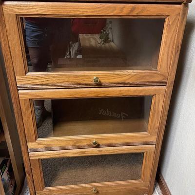 Lawyers bookcase