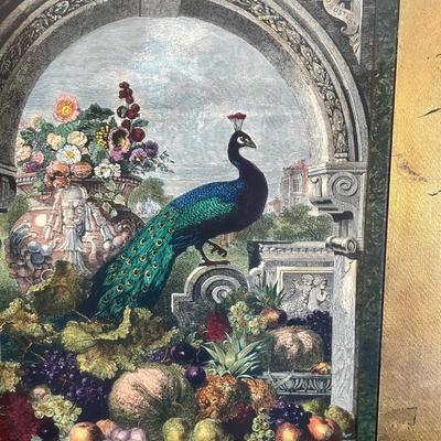 Beautifully Framed Peacock Art