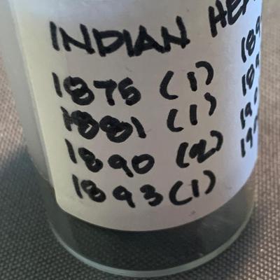 Indian Head Pennies Lot