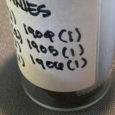 Indian Head Pennies Lot